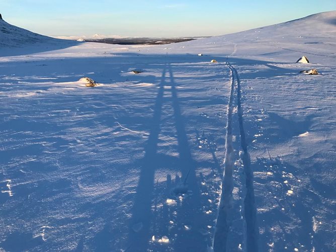 Skispor i lav kveldssol. Foto: Åsgeir Størdal
