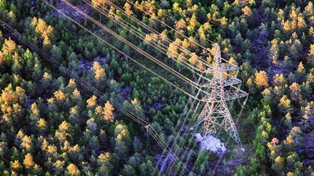 Høyspentledning i skog krysser mindre kraftledning. Foto: Most photos