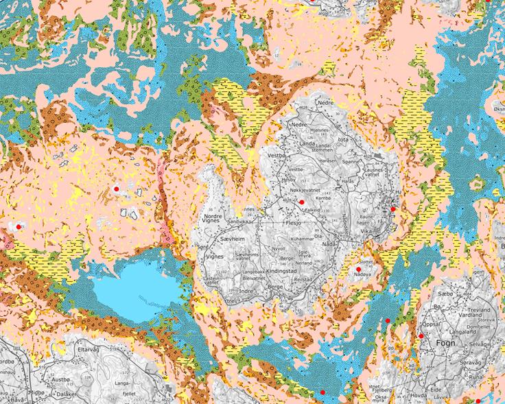 Kartutsnitt fra kartjenesten til Marine grunnkart i kystsonen. Kartet viser deler av pilotområdet i Stavanger kommune.
