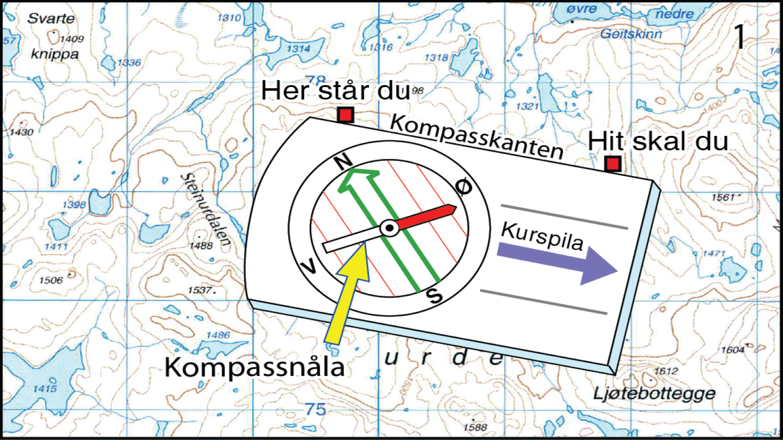 Kart Med Kompassretning