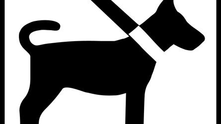 Piktogram av hund som illustrerer båndtvang