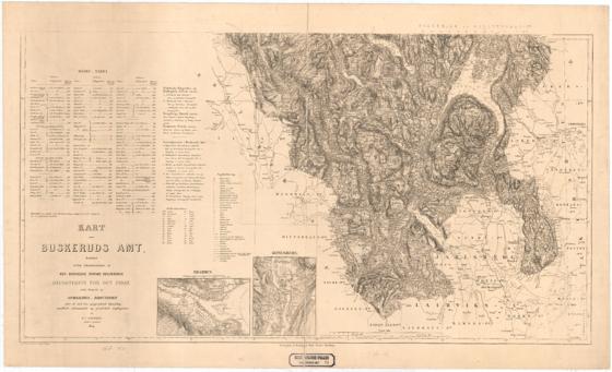 Kart over Buskerud Amt (sør)