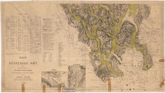 Buskerud-amt nr 25-2: Kart over Buskerud Amt