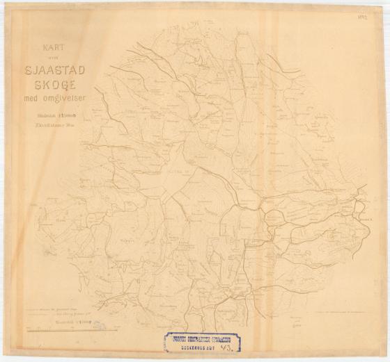 Buskerud amt nr 43: Sjaastad skoge