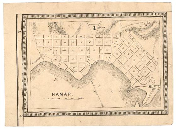 Hedemarkens amt nr 45: Hamar