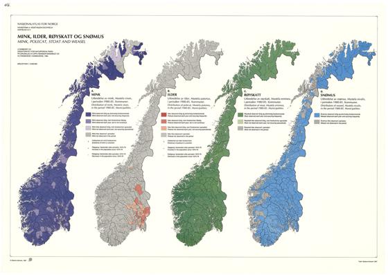 Nasjonalatlas for Norge 46: Mink, inder, røyskatt og snømus