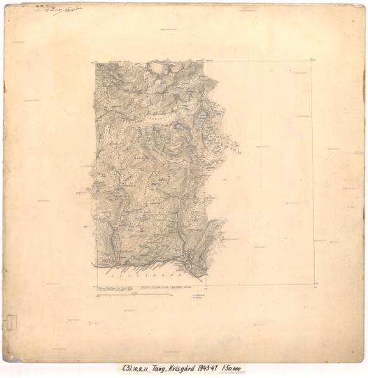 C31-10, C31-9, C31-11